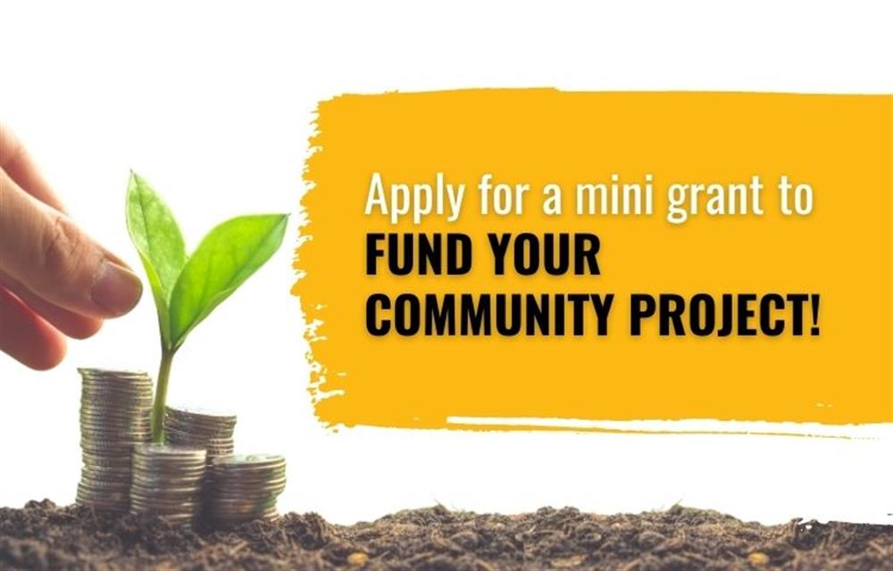 Apply For A LHCC Mini-Grant By Dec. 9 and See What Else We Are Doing