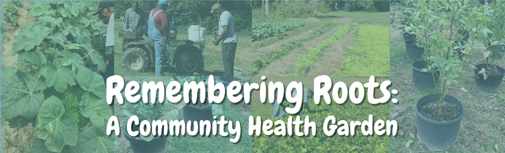 Remembering Roots: A Community Health Garden