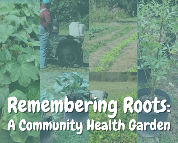 Remembering Roots A Community Health Garden
